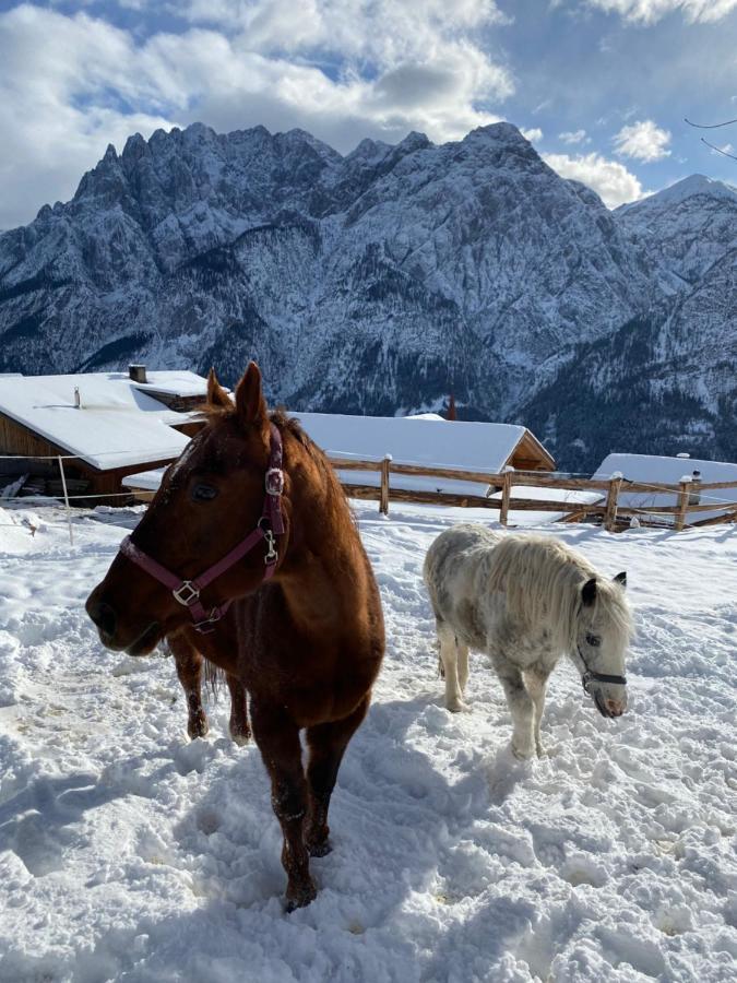 Southern Stables Ranch Bannberg Екстер'єр фото